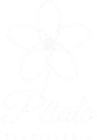 Pétalo · Floristería